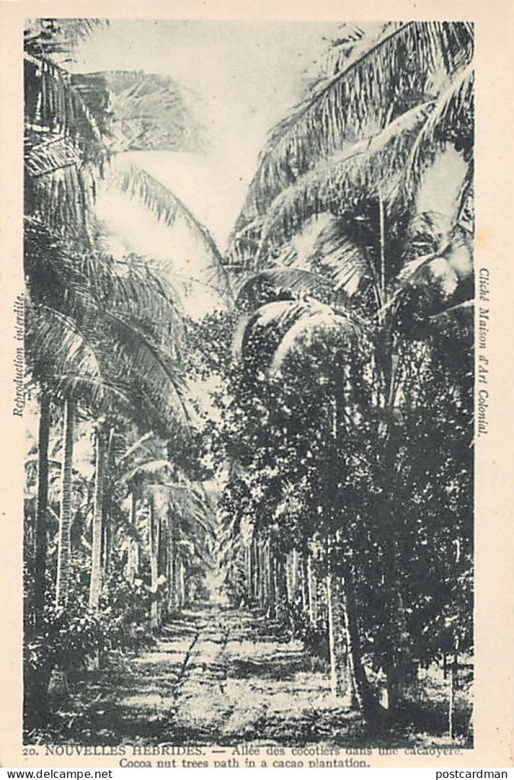 Vanuatu - Cocoa plantation - Publ. La Maison d'Art Colonial