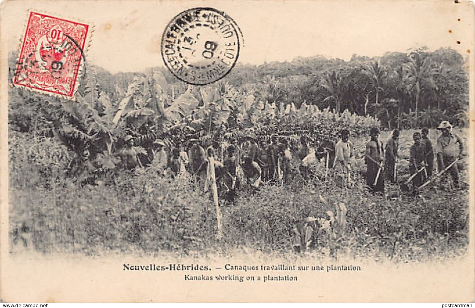 Vanuatu - New Hebrides - Canaques working on a plantation - SEE STAMP AND POSTMARK - Publ. unknown