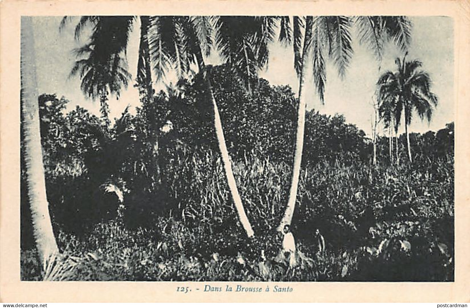 Vanuatu - New Hebrides - ESPIRITU SANTO - In the bush - Publ. E. B. 125
