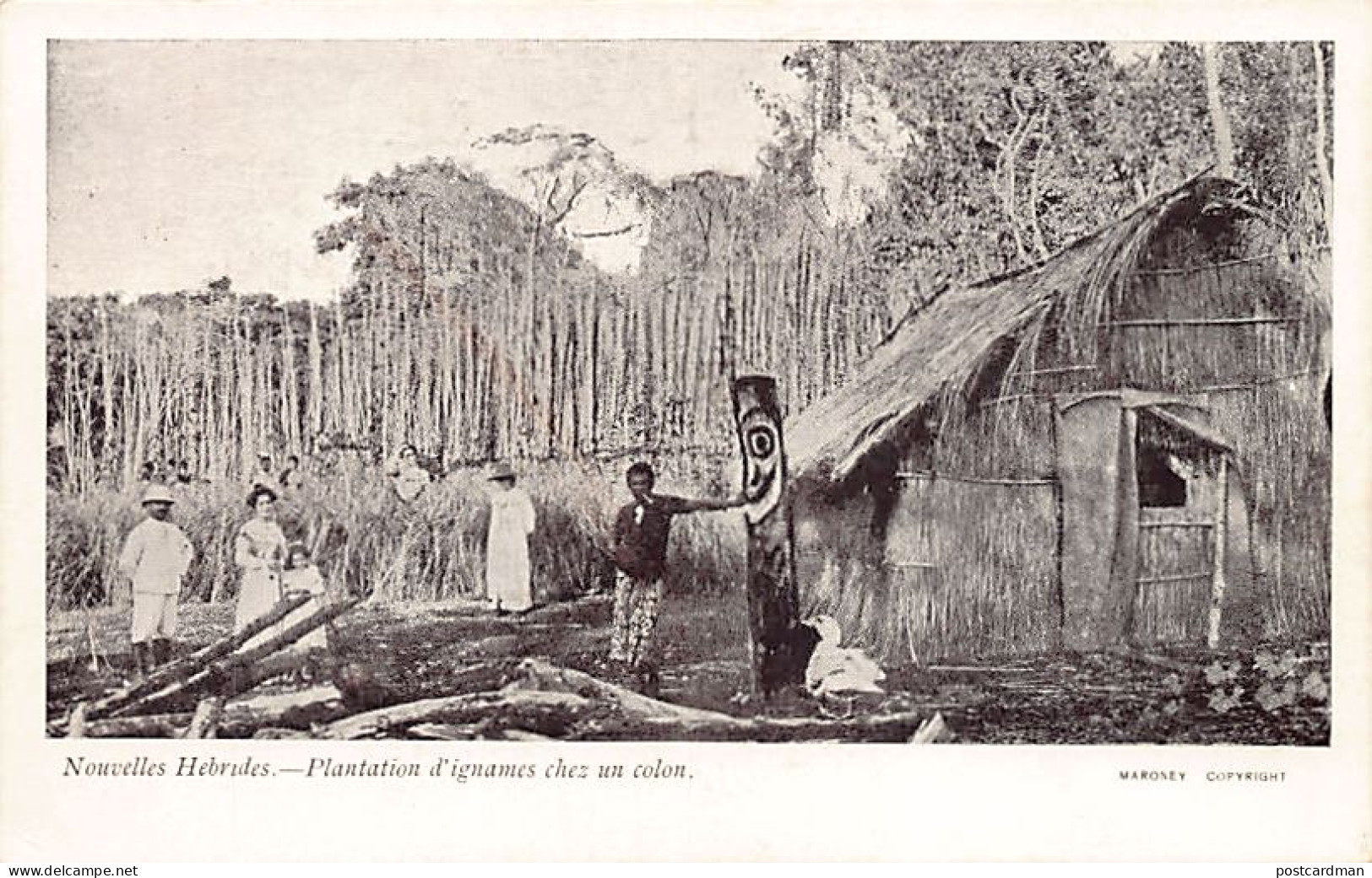 Vanuatu - Planting yams at a settler's house - Publ. Maroney