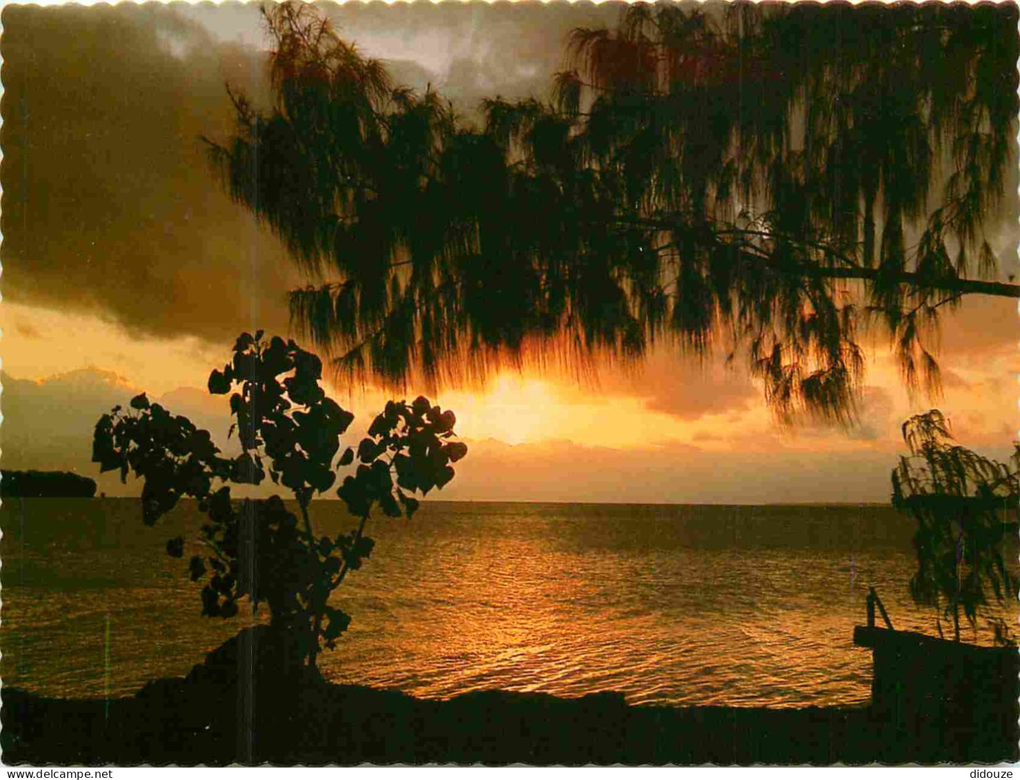 Vanuatu - Typical romantic sunset - CPM - Voir Scans Recto-Verso