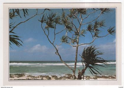 AK 226456 VANUATU - Einsamer Strand