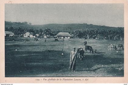 VANUATU(NOUVELLES HEBRIDES) PLANTATION LANCON