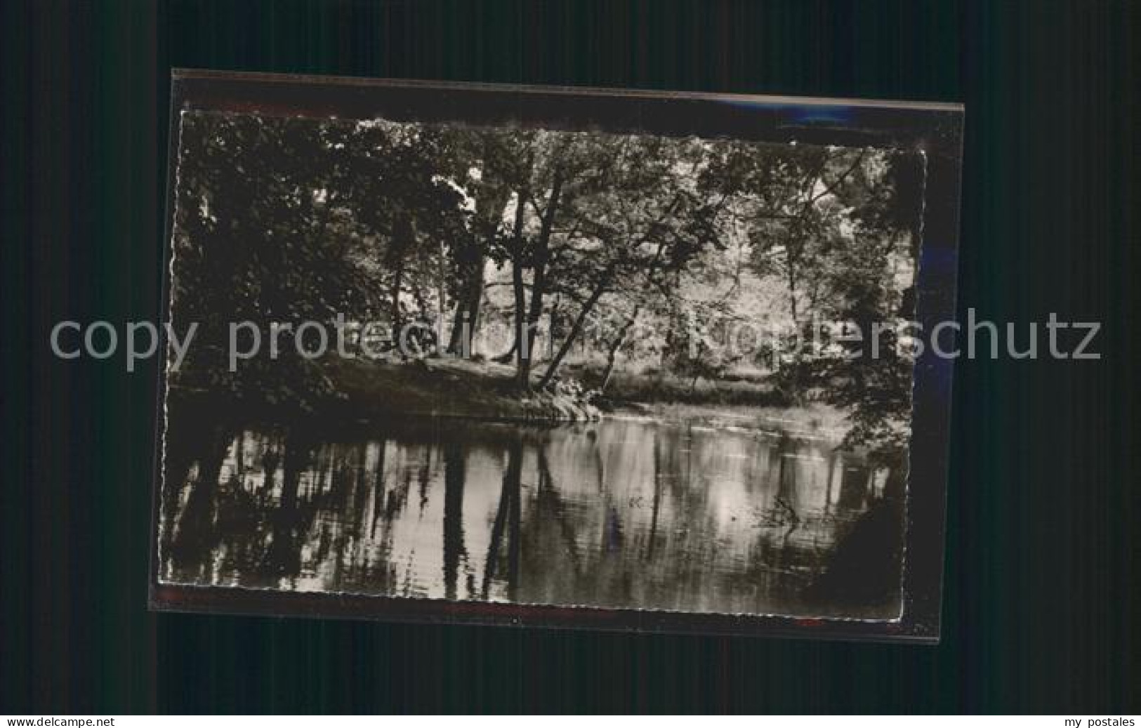 Varel Jadebusen Muehlenteich