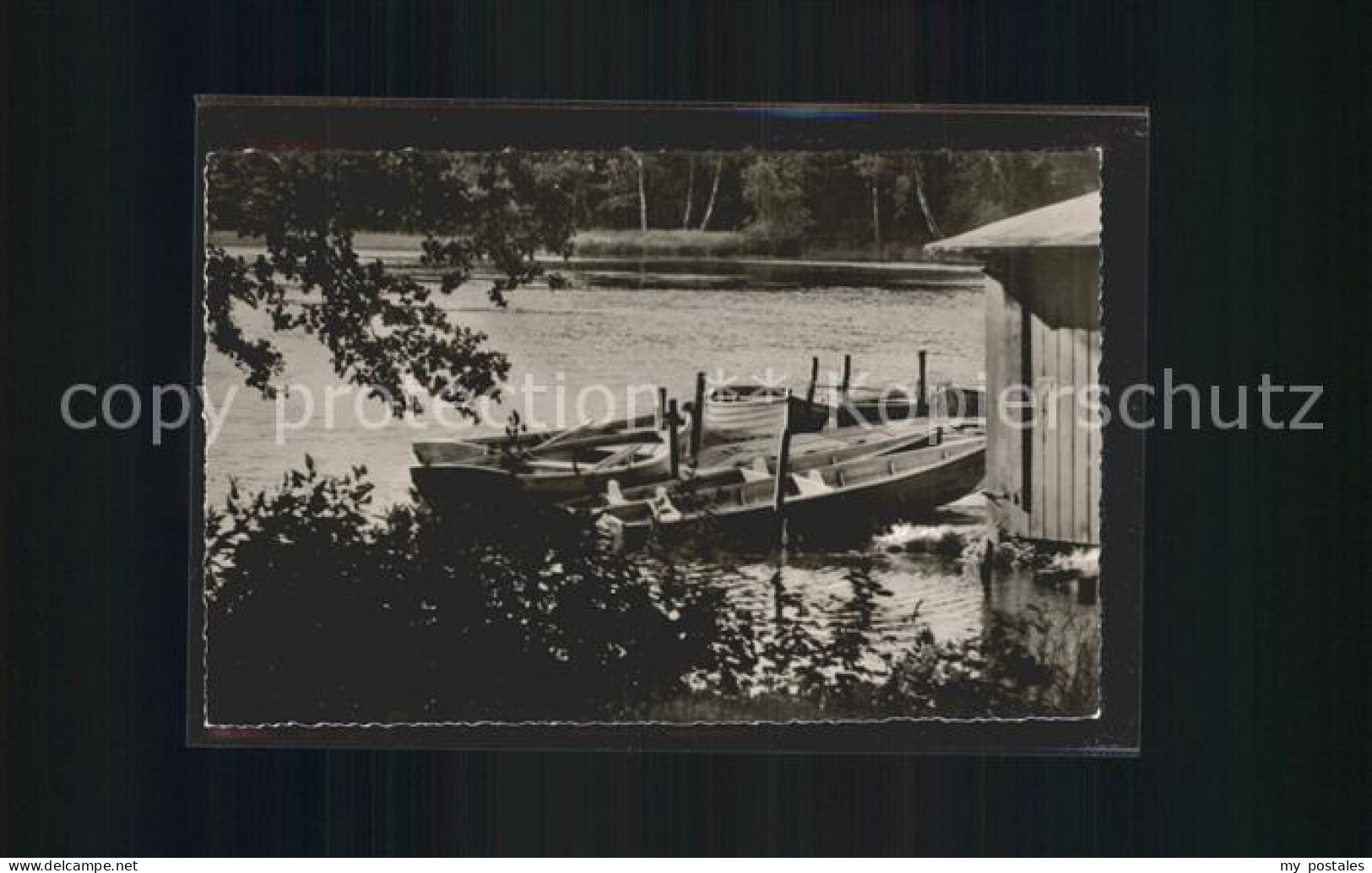 Varel Jadebusen Muehlenteich