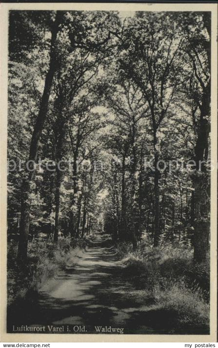 Varel Jadebusen Waldweg