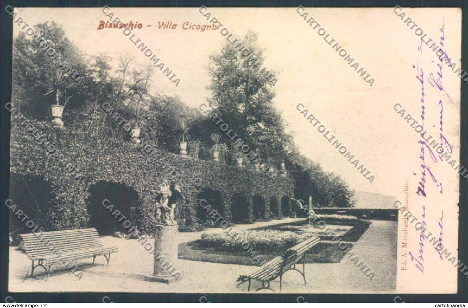 Varese Bisuschio cartolina LQ7126