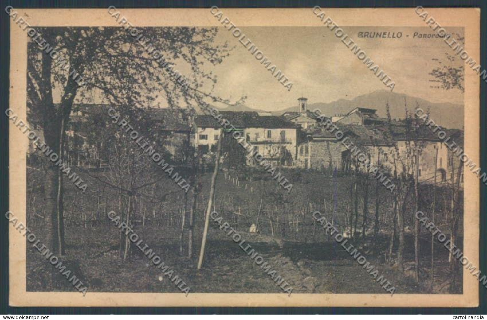 Varese Brunello cartolina LQ7169
