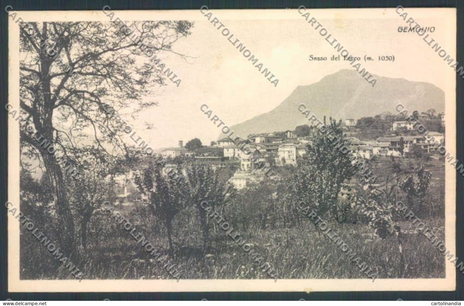 Varese Gemonio cartolina LQ7616