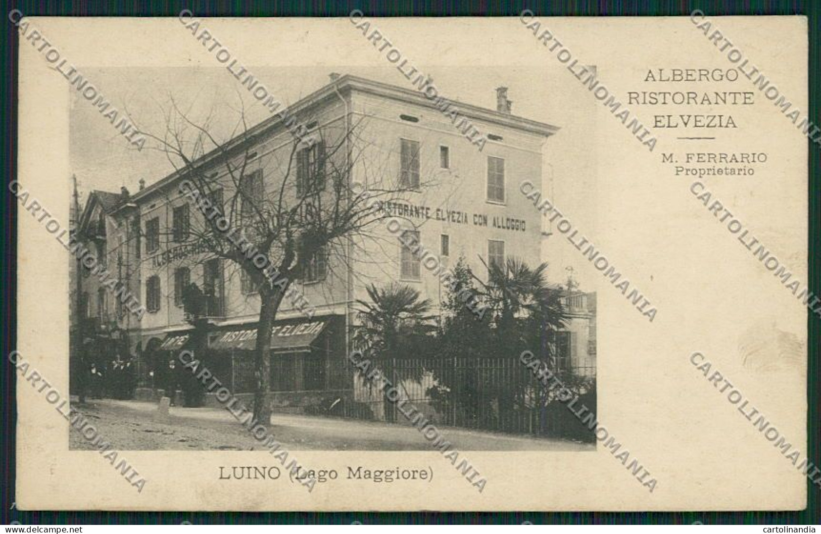 Varese Luino cartolina EE6379