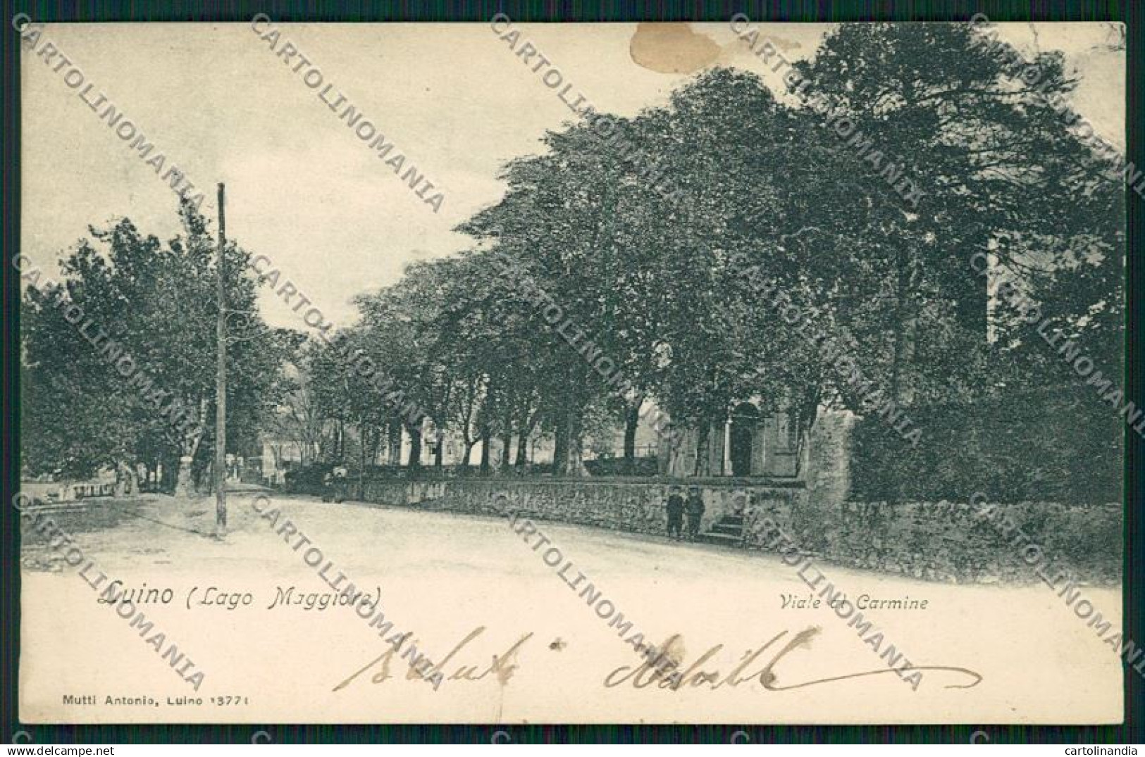 Varese Luino cartolina QK1852