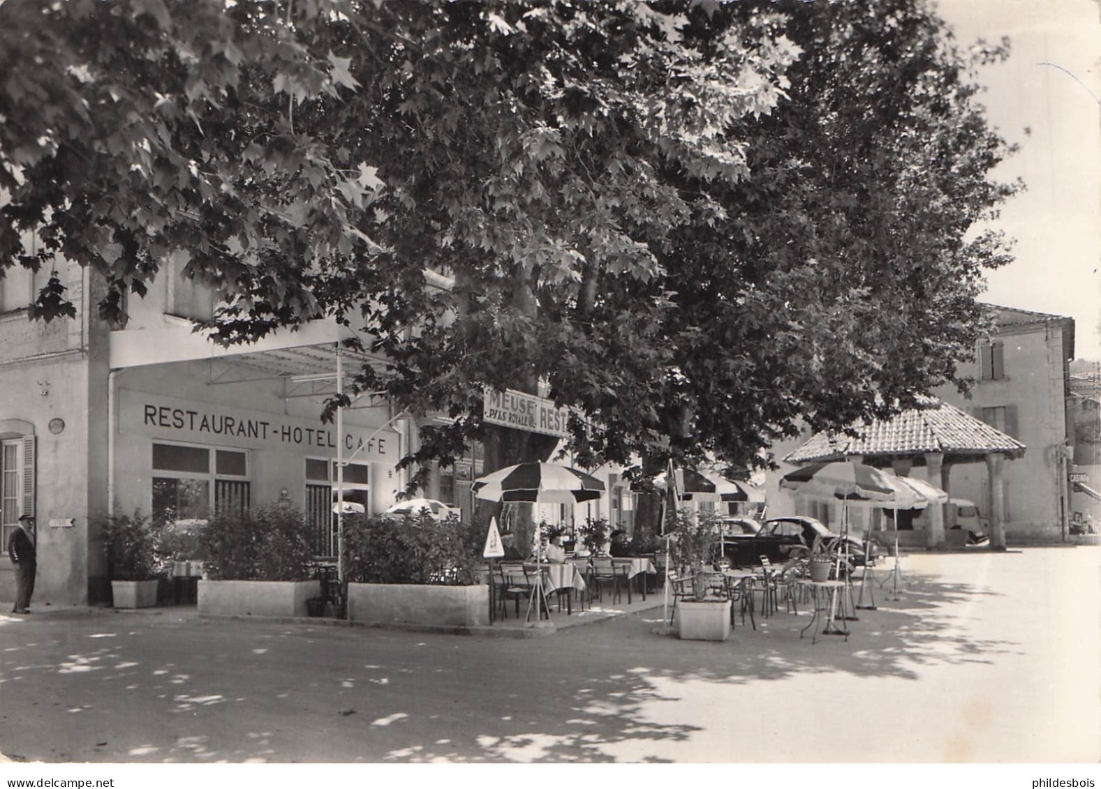 VAUCLUSE  MALAUCENE  (cpsm)