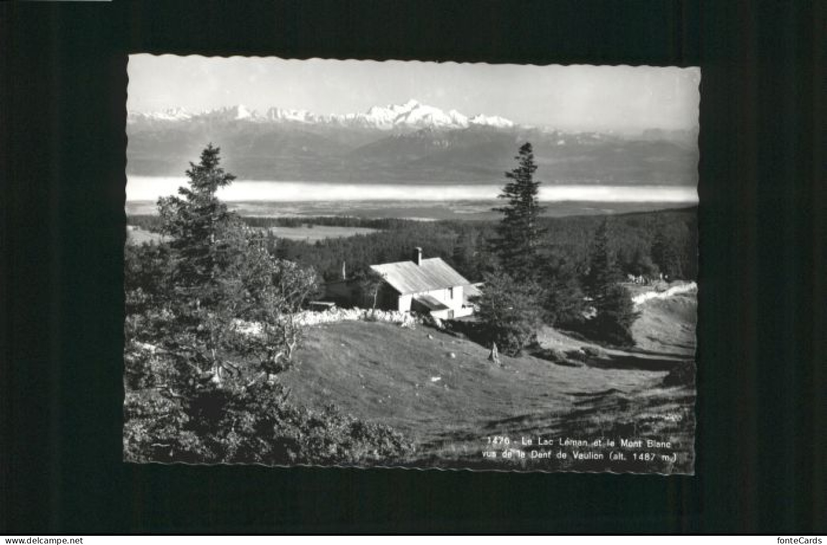 Vaulion [Stempelabschlag] Lac Leman Mont Blanc Dent Vaulion