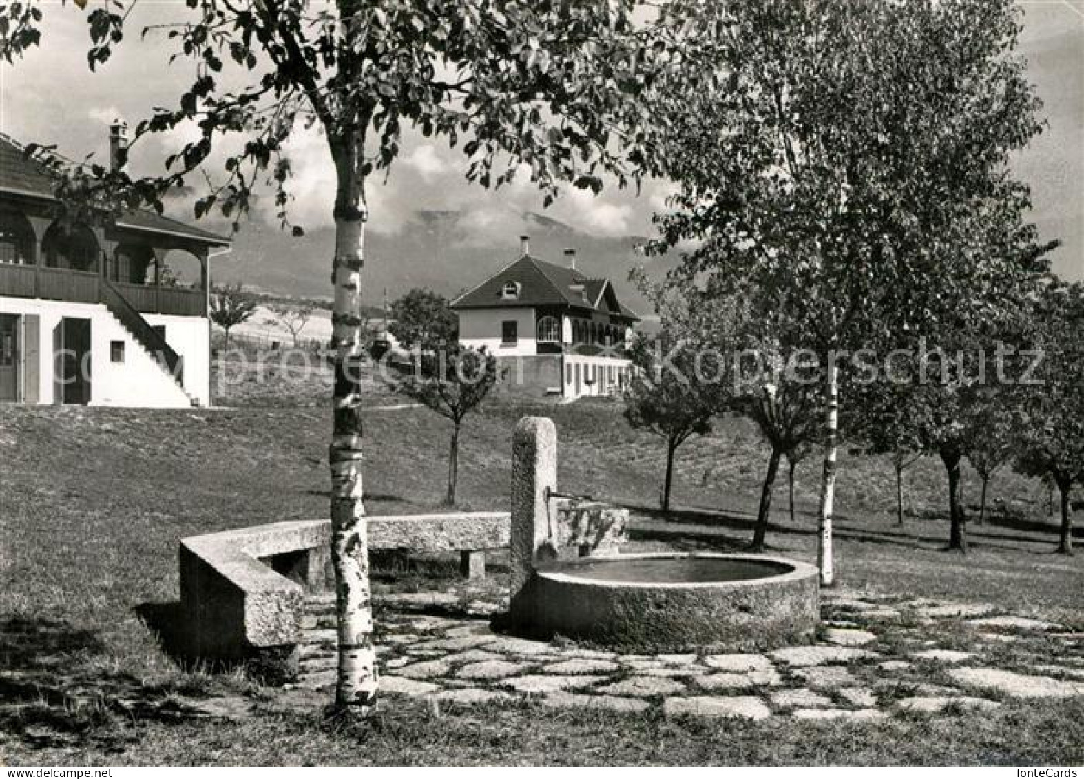 Vaumarcus Camp de Vaumarcus Brunnen