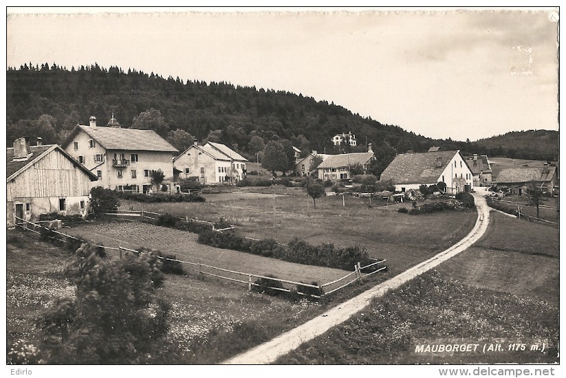 vd  MAUBORGET neuve/unused