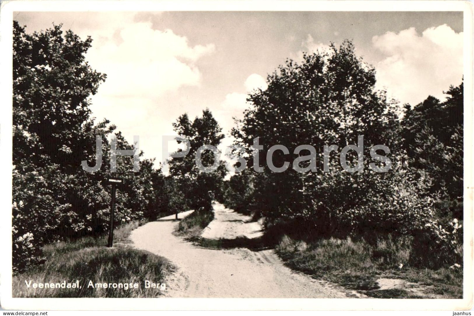 Veenendaal - Amerongse Berg - Amerongen Hill - forest road - old postcard - 1956 - Netherlands - used