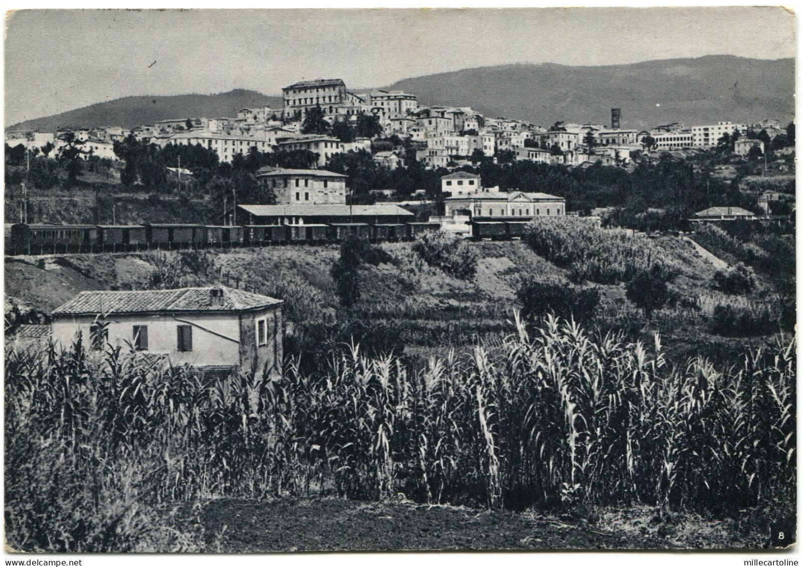 VELLETRI , PANORAMA, 1949