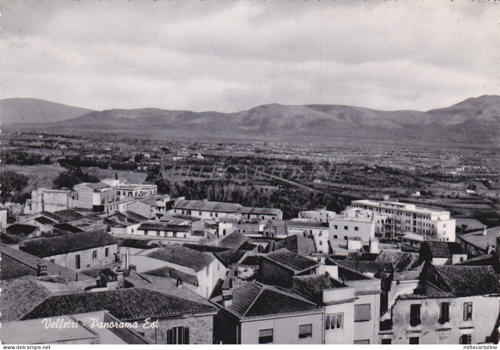 VELLETRI - Panorama Est, Cartolina