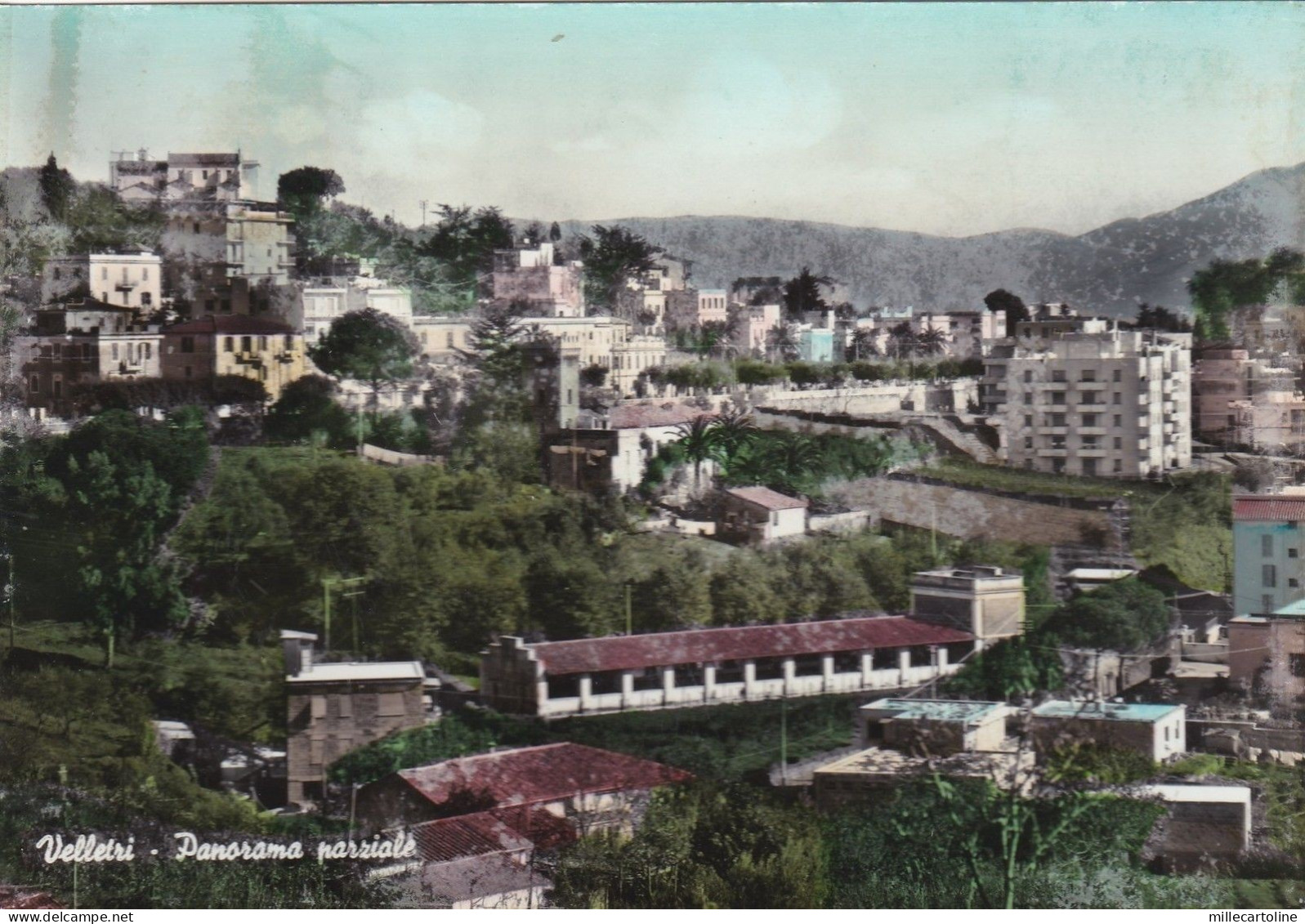 # VELLETRI: PANORAMA PARZIALE