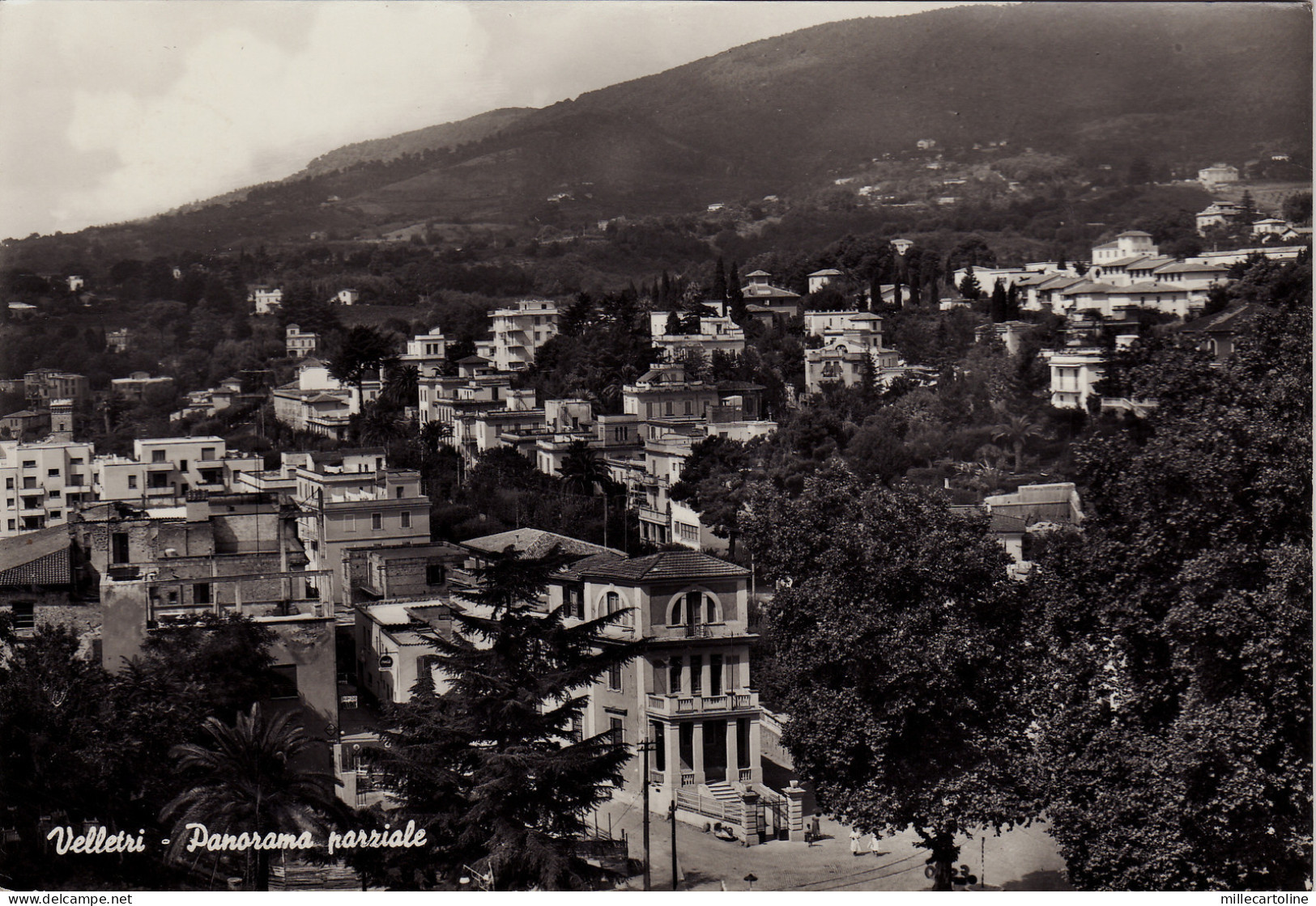 #VELLETRI: PANORAMA PARZIALE