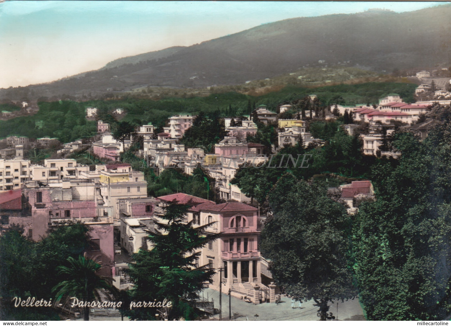 VELLETRI - Panorama Parziale, Cartolina