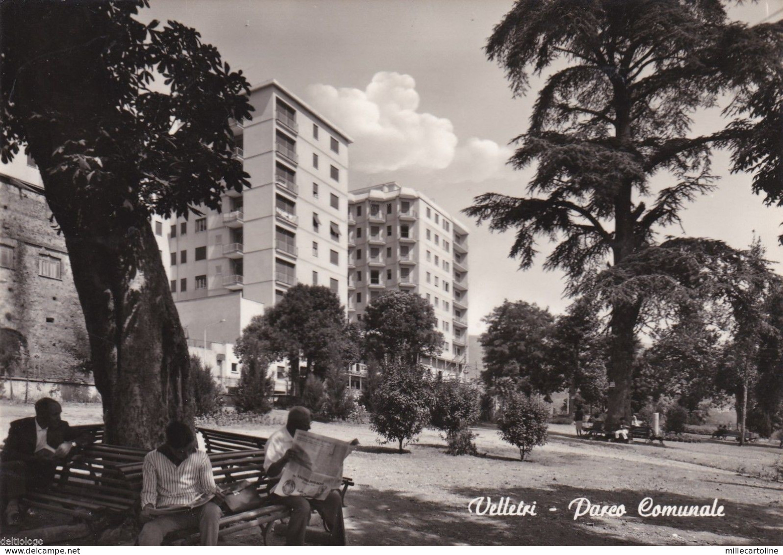 # VELLETRI: PARCO COMUNALE