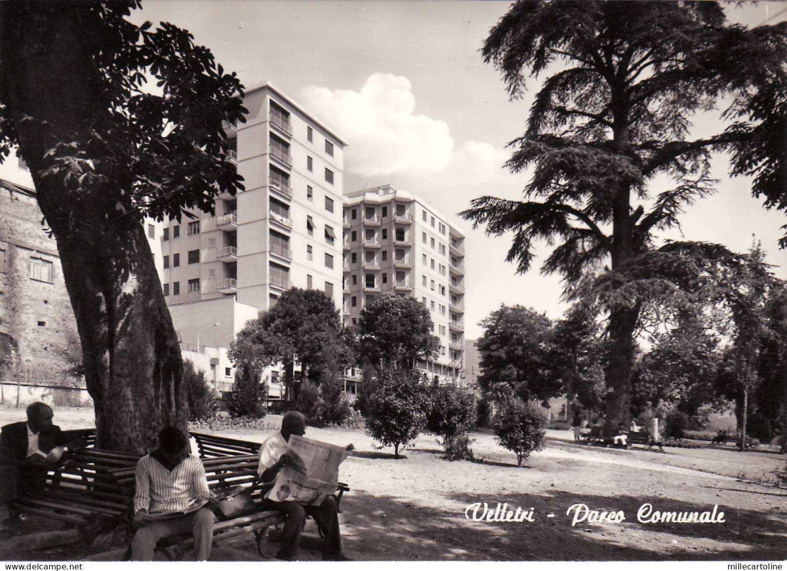 #VELLETRI: PARCO COMUNALE