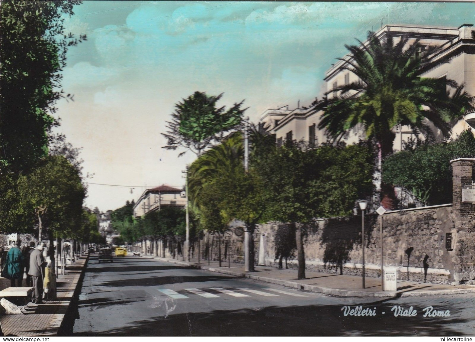 # VELLETRI: VIALE ROMA