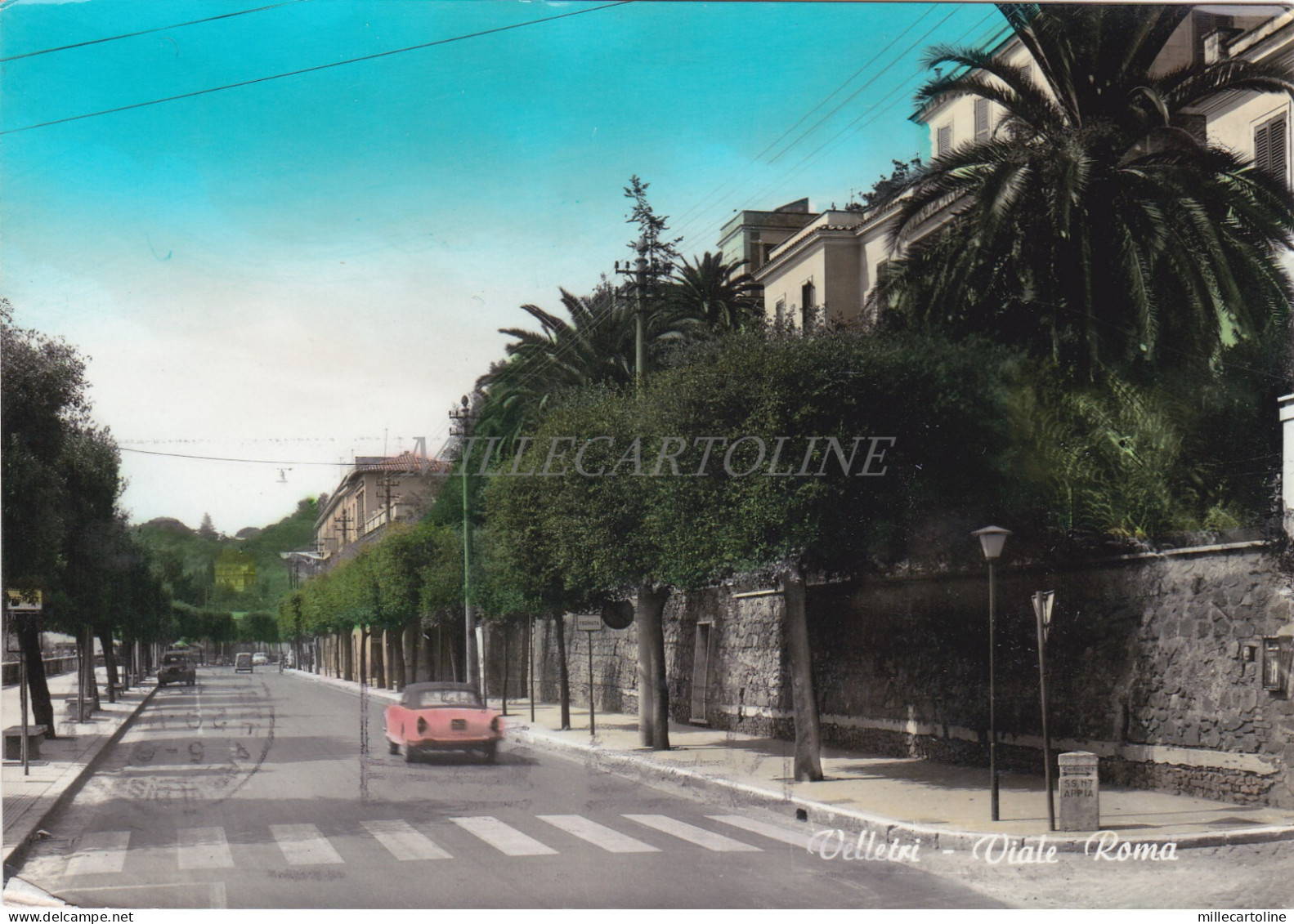 VELLETRI - Viale Roma, Cartolina 1968