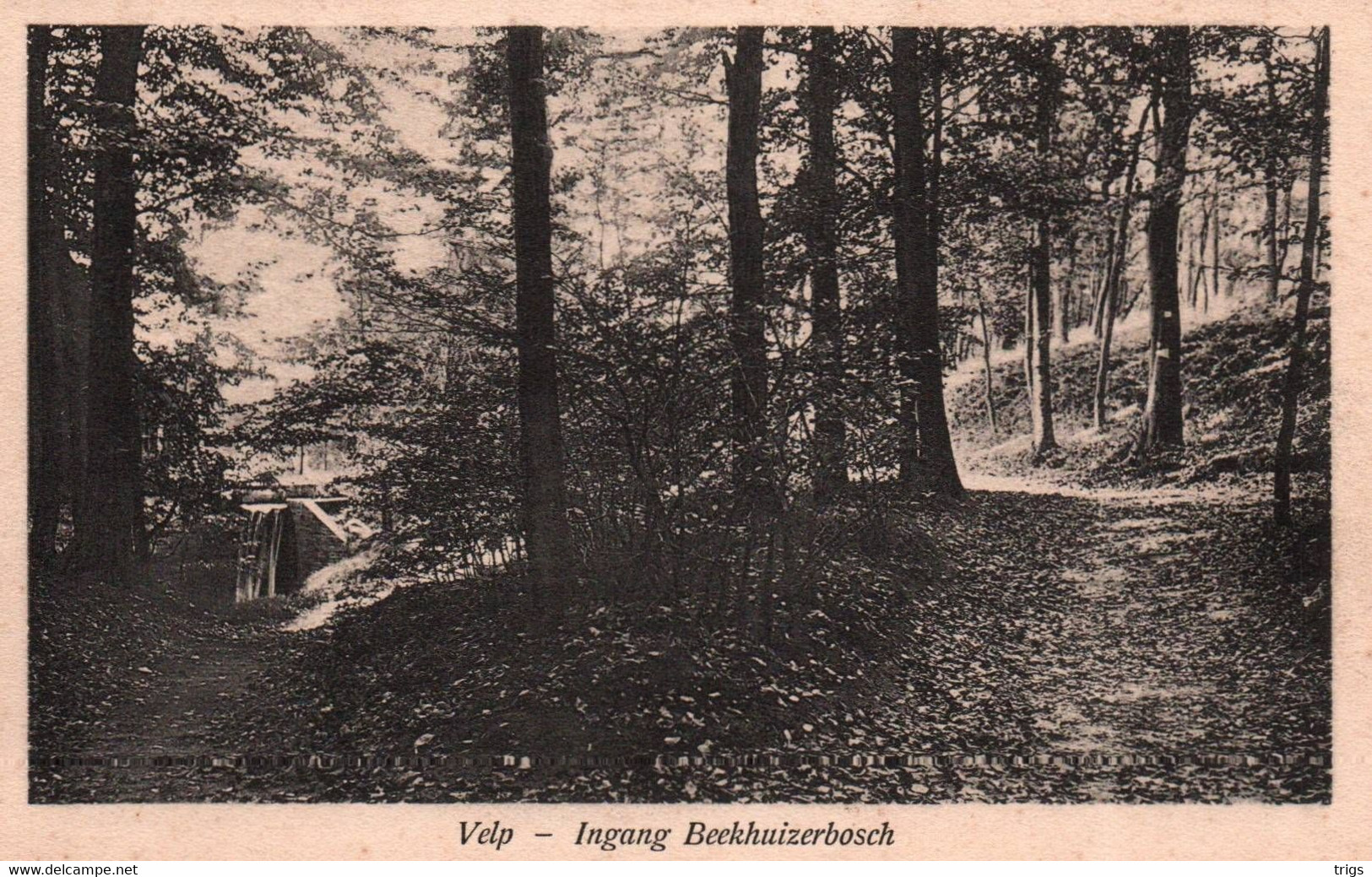 Velp - Ingang Beekhuizerbosch