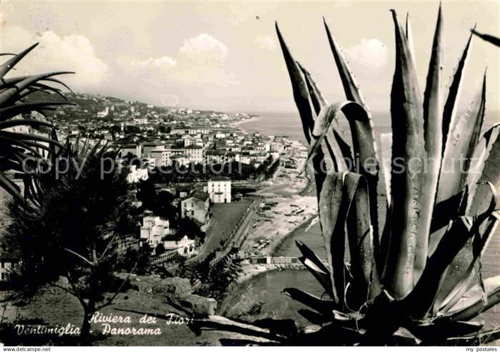 Ventimiglia Liguria Panorama