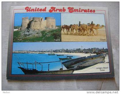 United Arab Emirates - Jumaira Beach Dubai , Fujaira , Camels     D78544