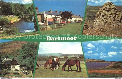Huntingdon Huntingdonshire Dartmoor St Ives