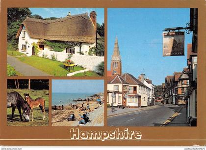 B103308 hampshire    uk