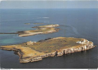uk44736 farne island northumberland uk