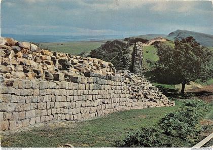 uk47448 walton crags northumberland  uk