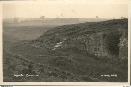 Appleton Oxford Common