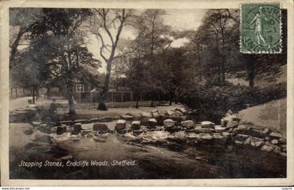 CPA Stepping Stones Endcliffe Woods Sheffield