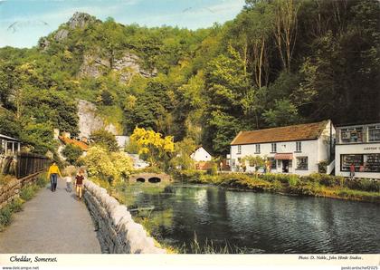 BR82695 cheddar somerset   uk