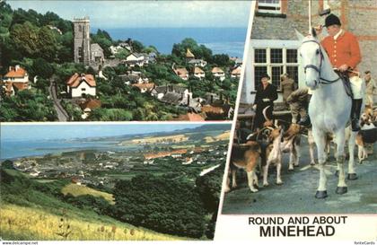 Minehead West Somerset Horse