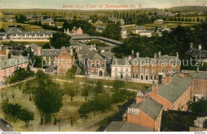 Newmarket Suffolk Panorama