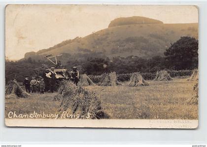England - CHANCTONBURY W. Sussex - The harvest - REAL PHOTO Publ. F. Douglas Miller - The Sussex Series