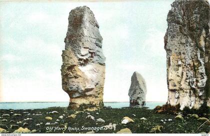 CPA Old Harry Rocks Swanage