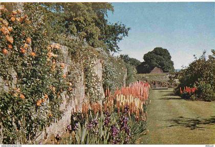 Carte Postale - Royaume-Uni - Ecosse - Falkland - The garden - the palace of falkland - Fleurs - CPM - Voir Scans Recto-