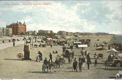 Weston-super-Mare Beach Esel