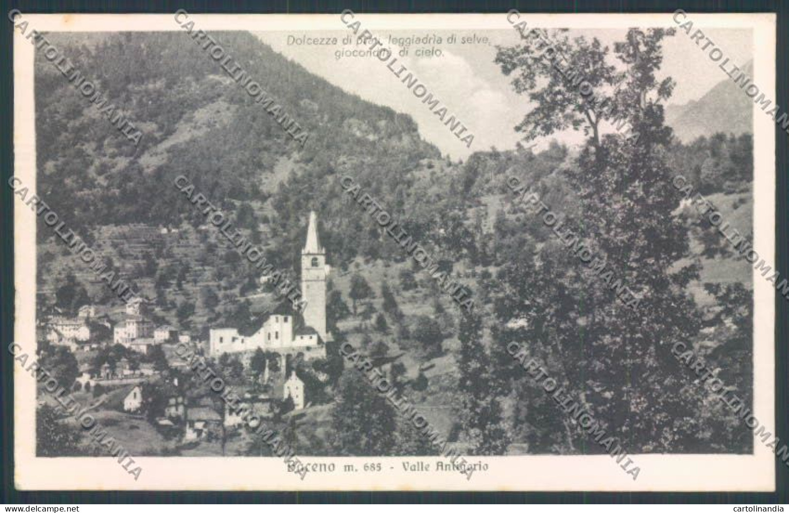 Verbania Baceno cartolina ZQ7091