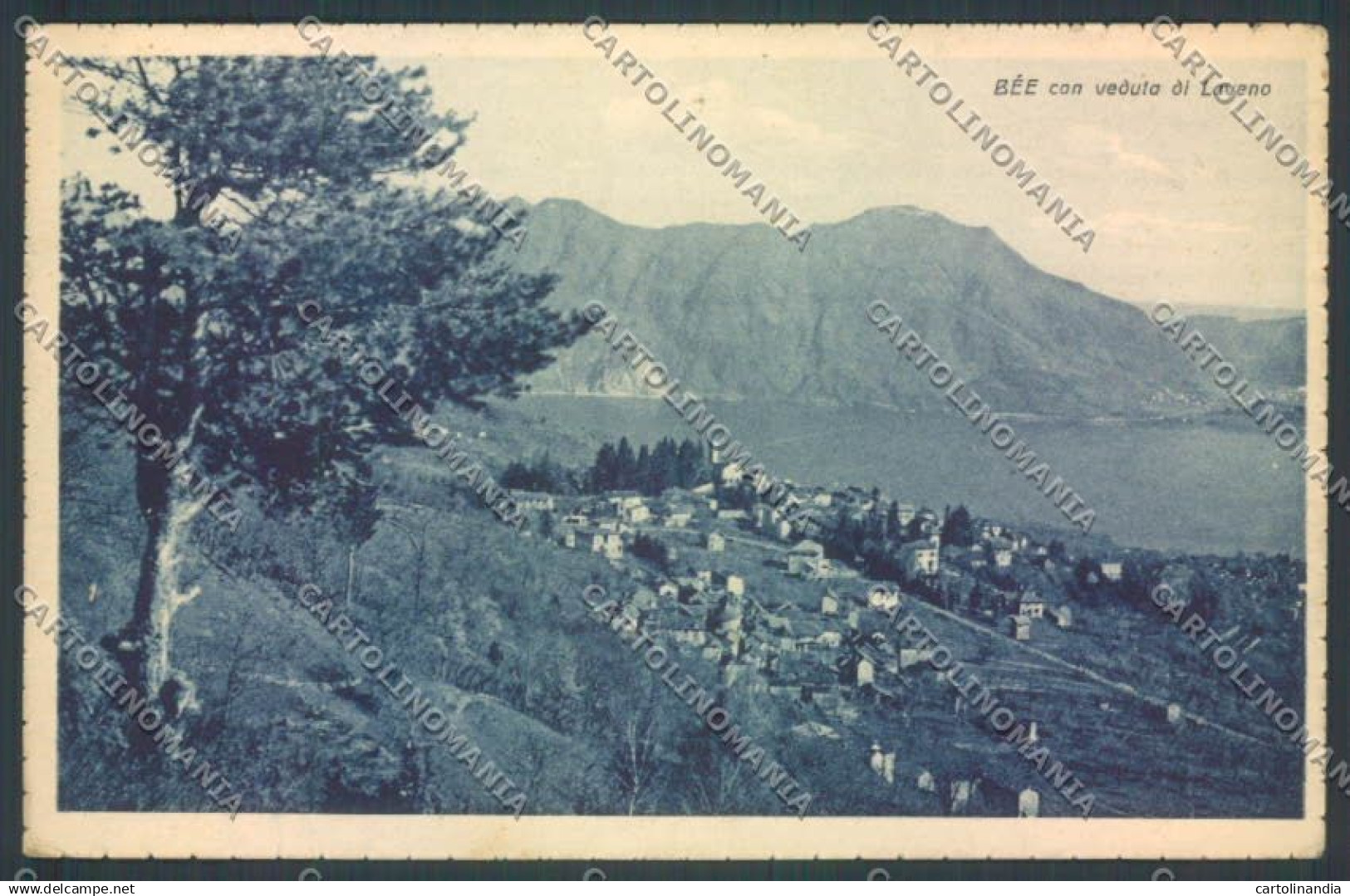 Verbania Bee cartolina ZQ6071