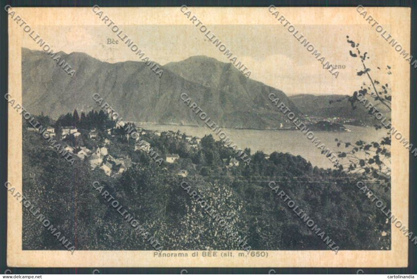 Verbania Bee cartolina ZQ6090