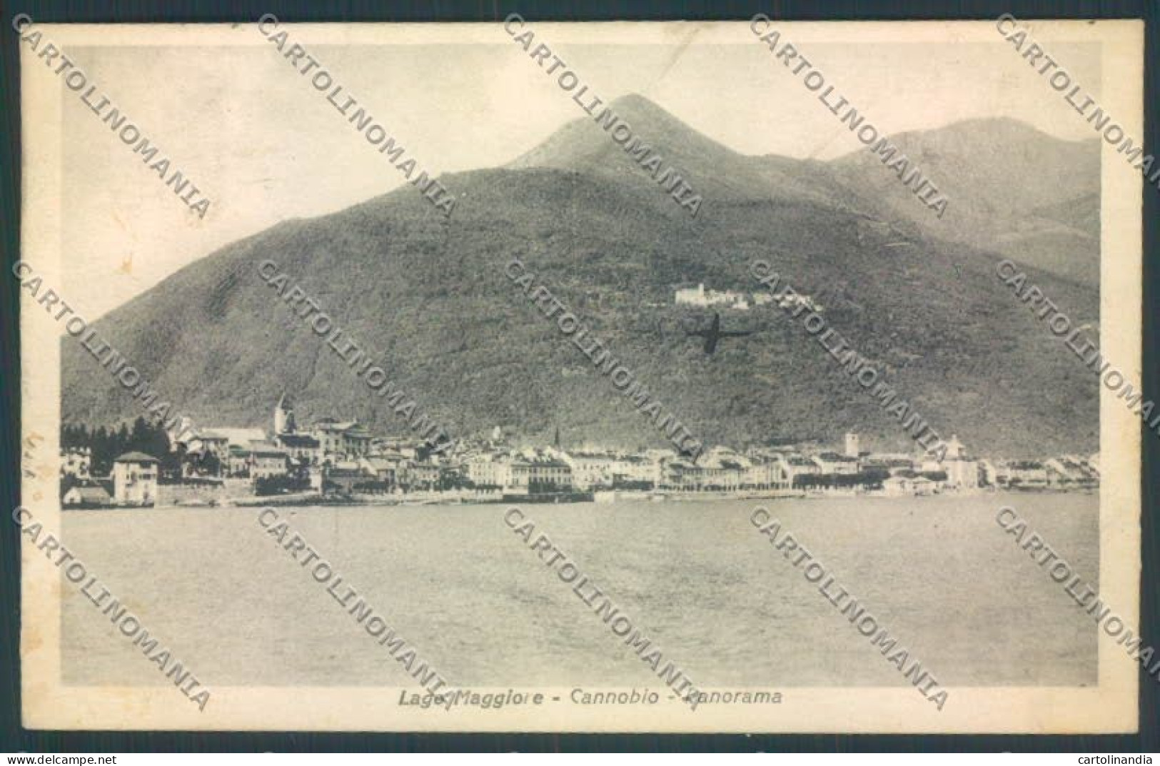 Verbania Cannobio cartolina ZQ8226