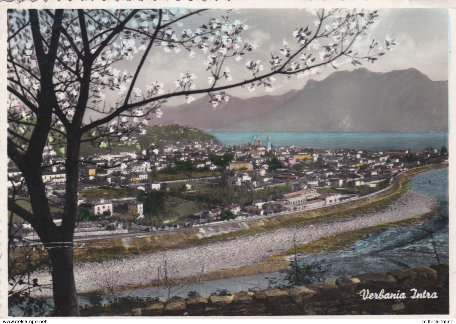 VERBANIA - INTRA: Panorama    1953